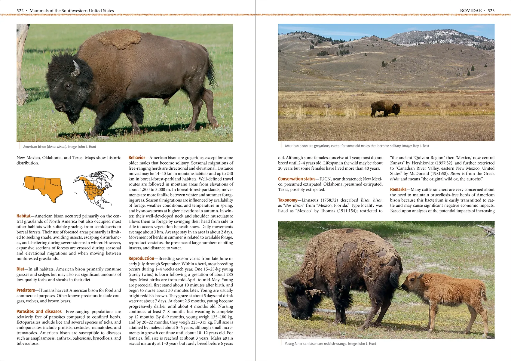 Mammals of the Southwestern United States