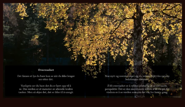 Naturtilstander - 52 følelser i ord og bilder