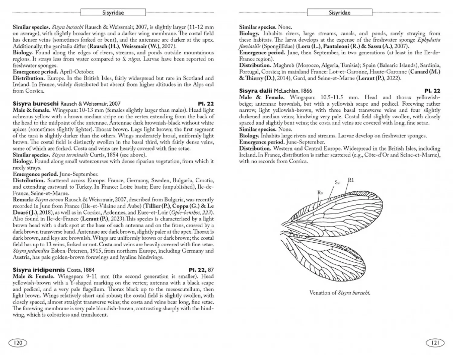 Neuropteroids of Europe