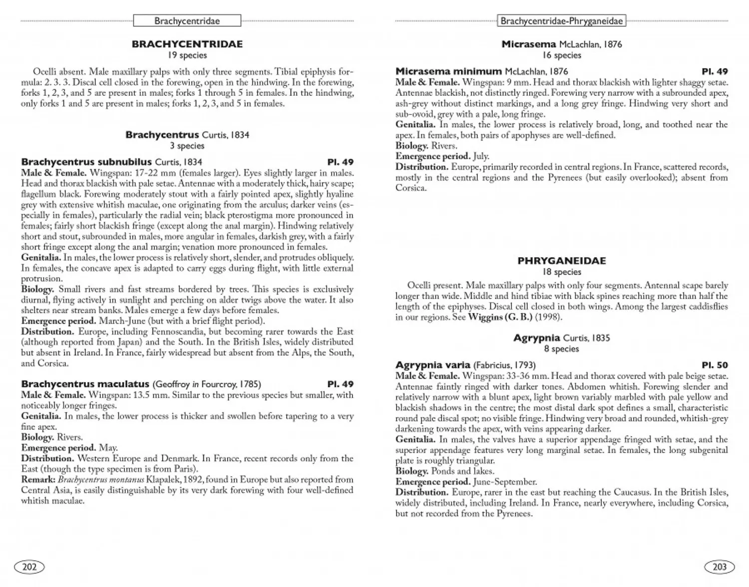 Neuropteroids of Europe
