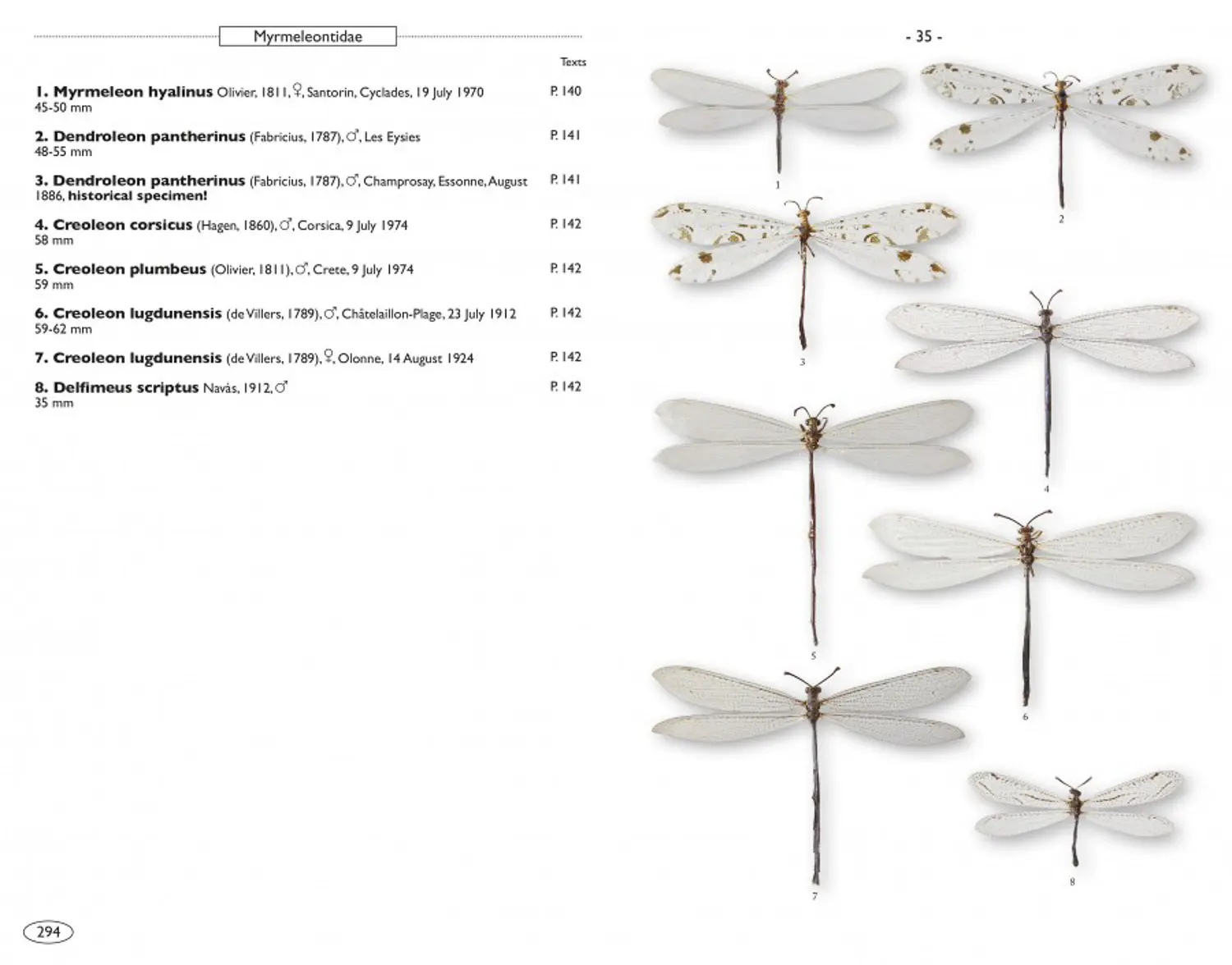 Neuropteroids of Europe