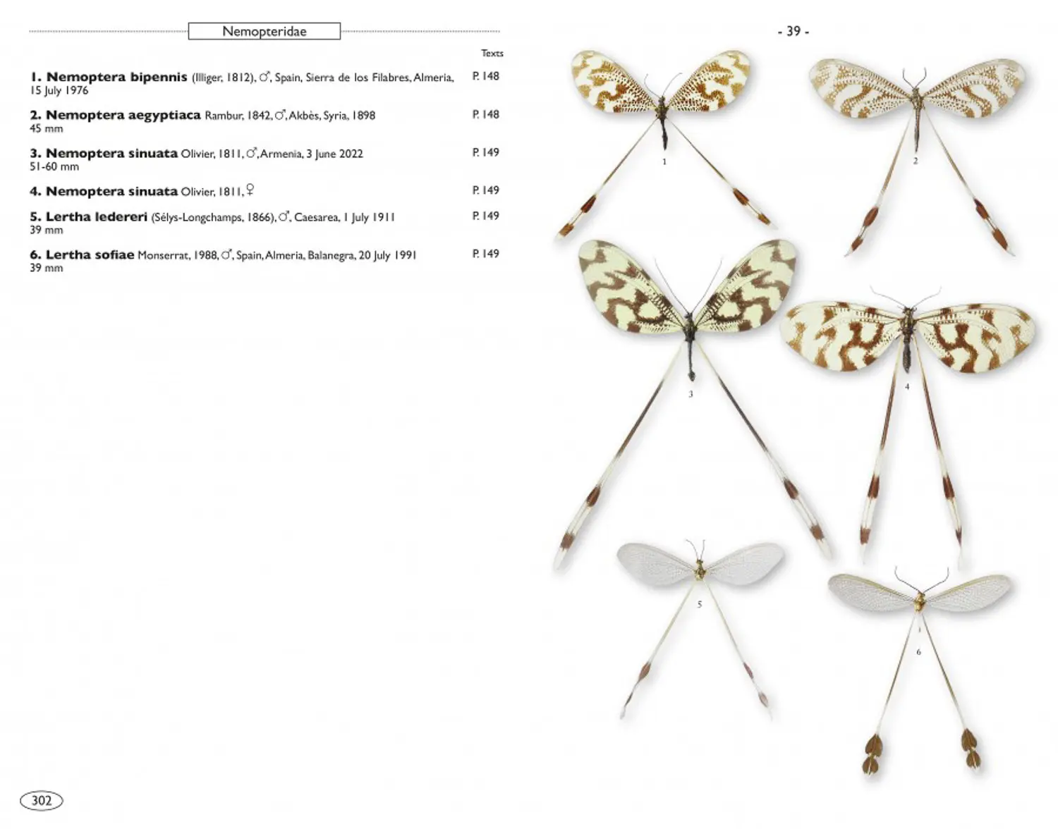 Neuropteroids of Europe
