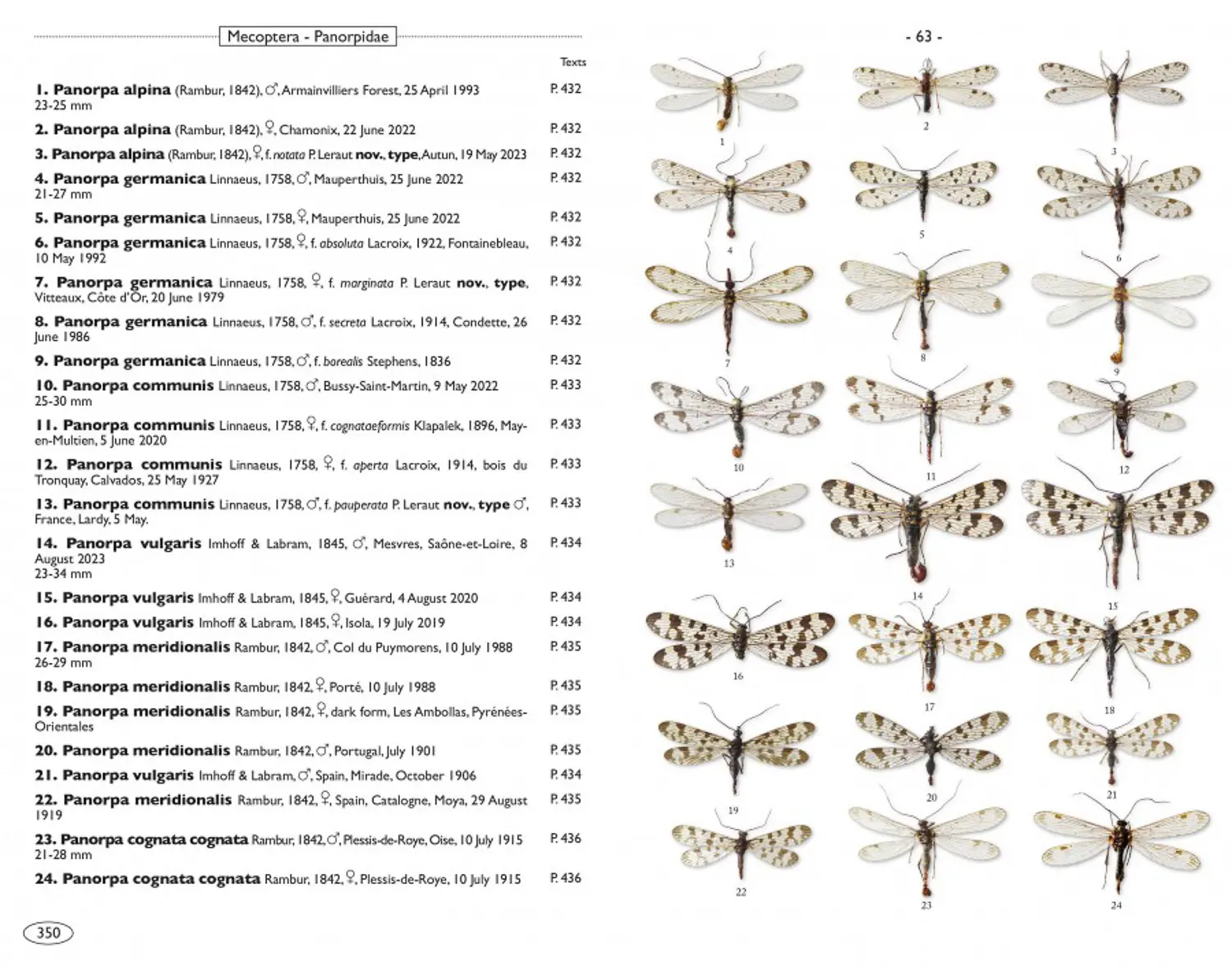Neuropteroids of Europe