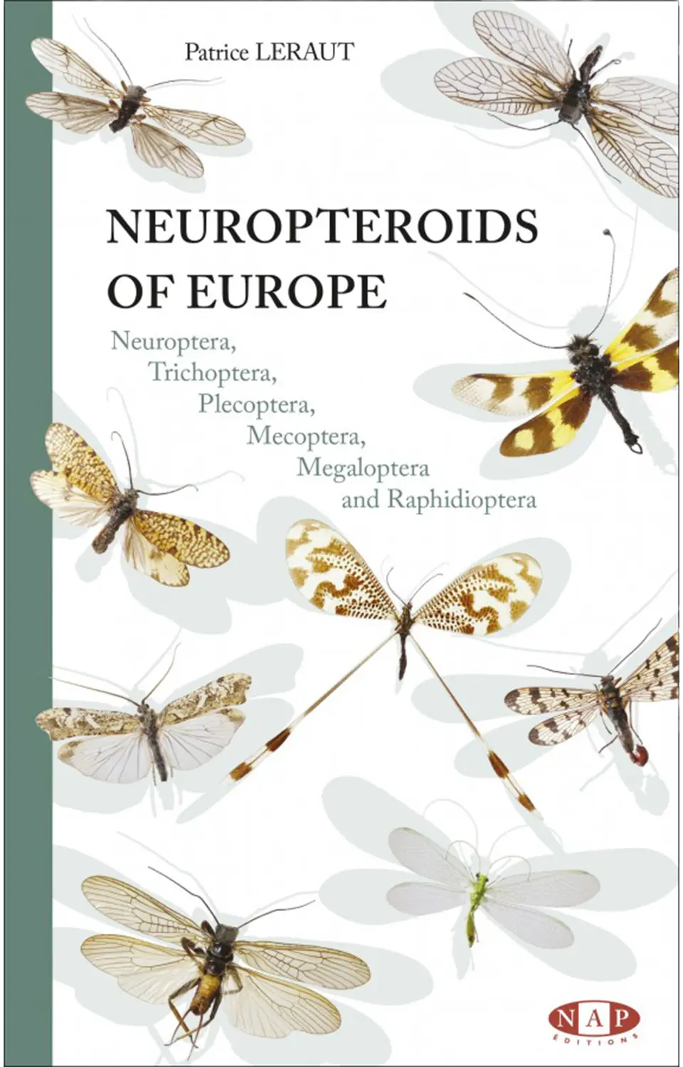 Neuropteroids of Europe
