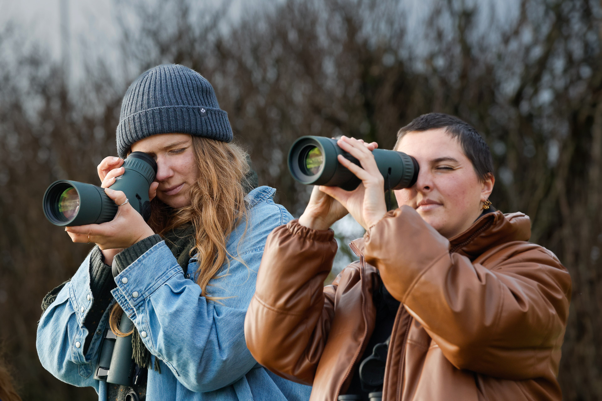 Swarovski AT/ST Balance