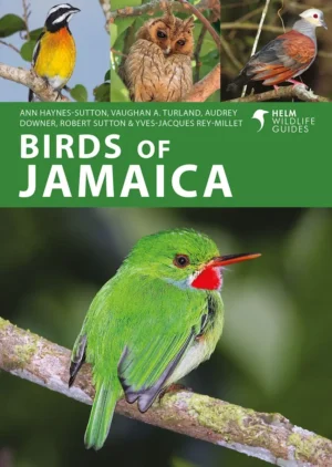 Birds of Jamaica - Helm Wildlife Guides