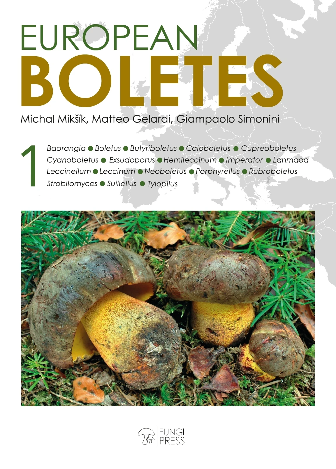 European Boletes 1, Dette er den første delen av et todelt verk om europeiske boletes (rørsopper).