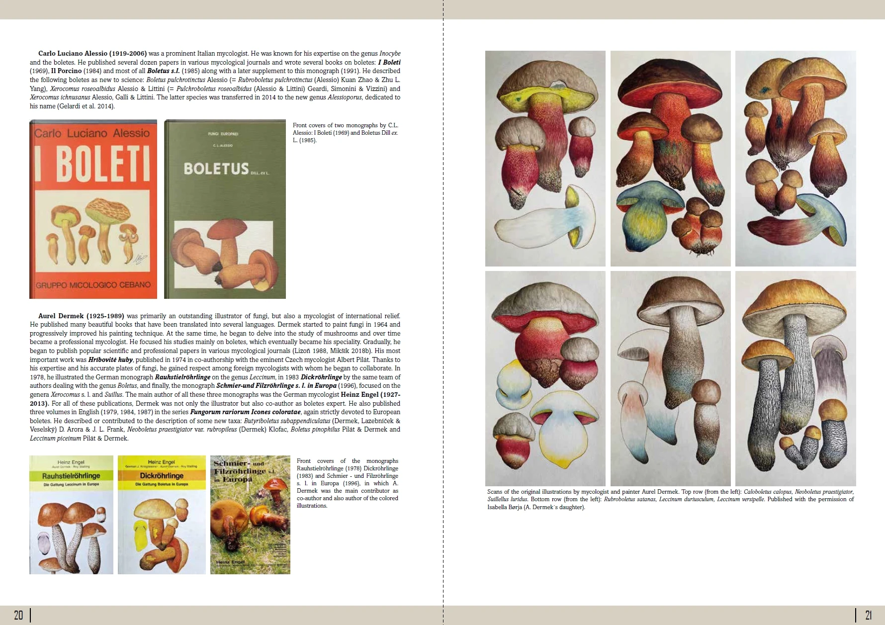 European Boletes 1 - Bilde 4