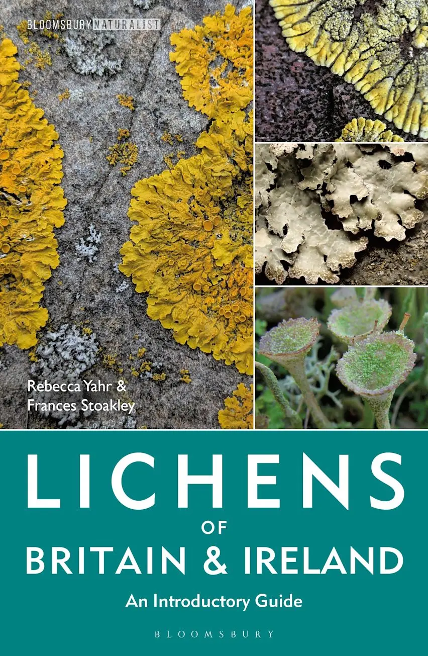 Lichens of Britain & Ireland