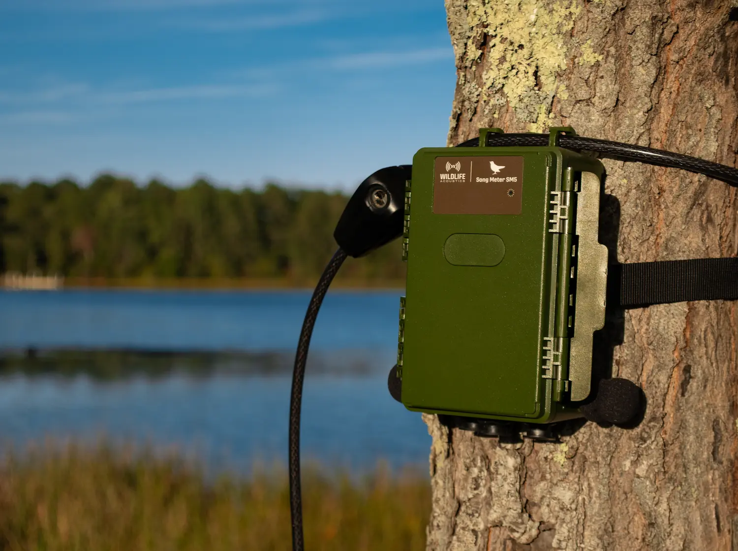 Wildlife Acoustics Song Meter SM5