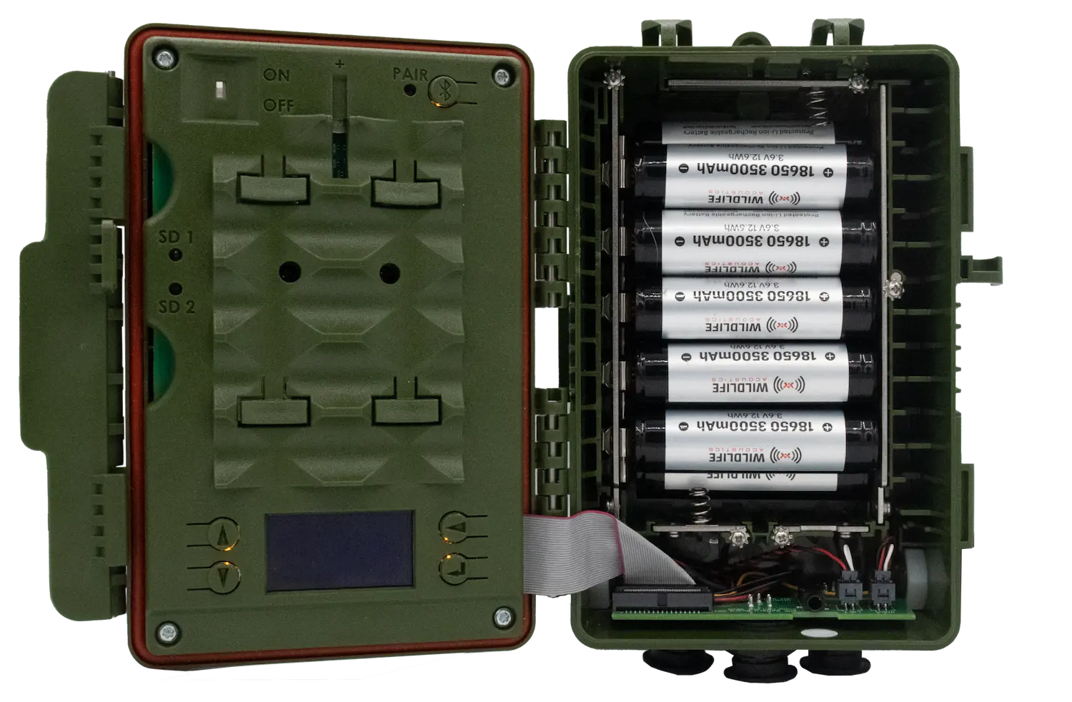 Wildlife Acoustics Song Meter SM5BAT - Lydopptaker for flaggermus