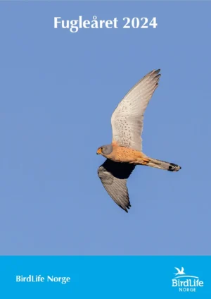 Fugleåret - 2024