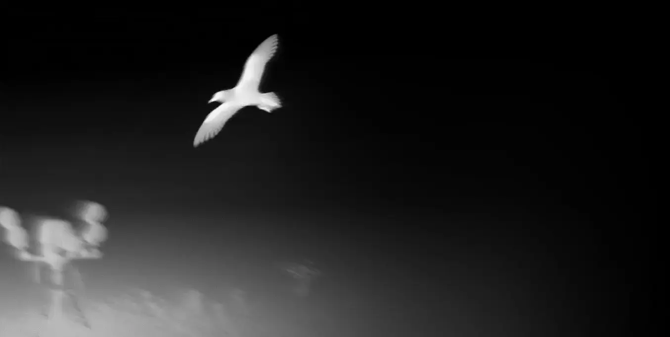 Pulsar Wildlife Alaris XG30