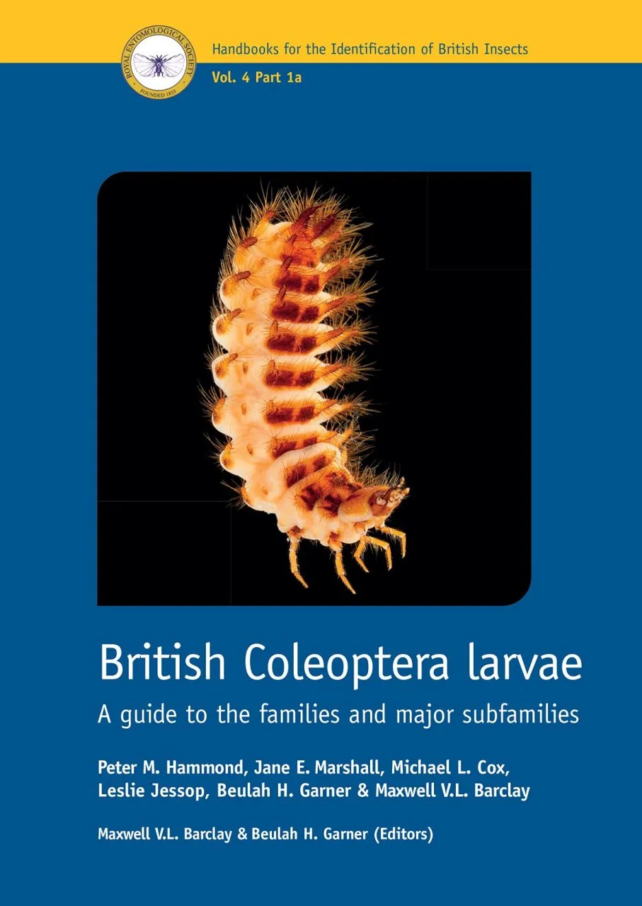 British Coleoptera Larvae