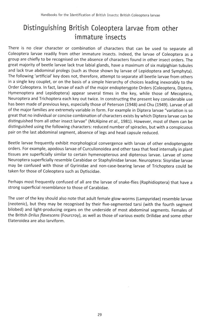 British Coleoptera Larvae