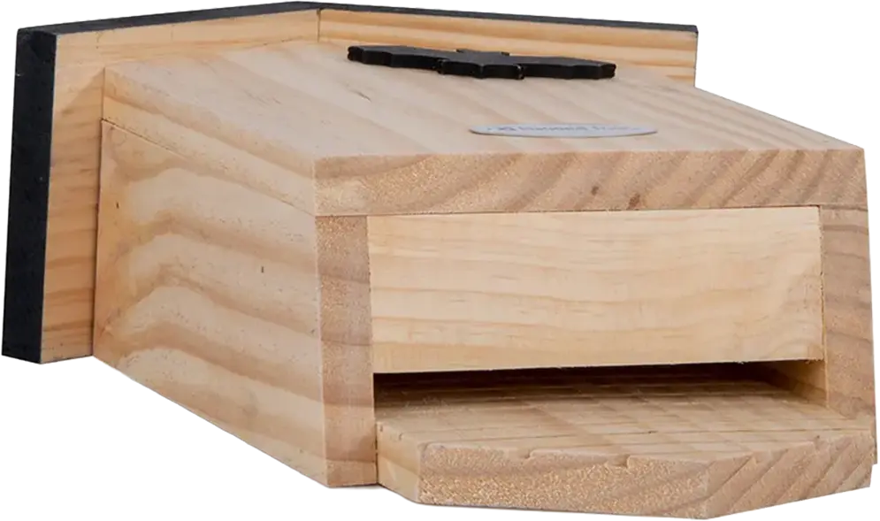 Flaggermuskasse Beaumaris - Laget i tre