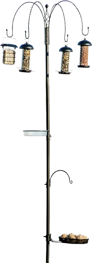 Fôringsstasjon med matere - Tambora