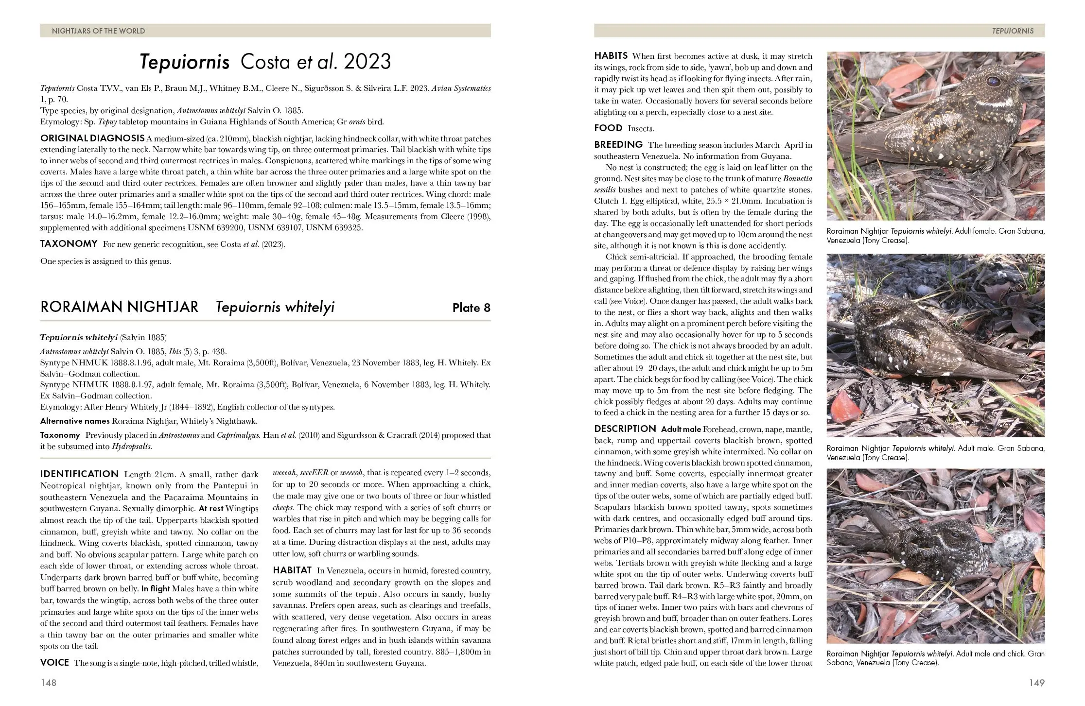 Nightjars of the World