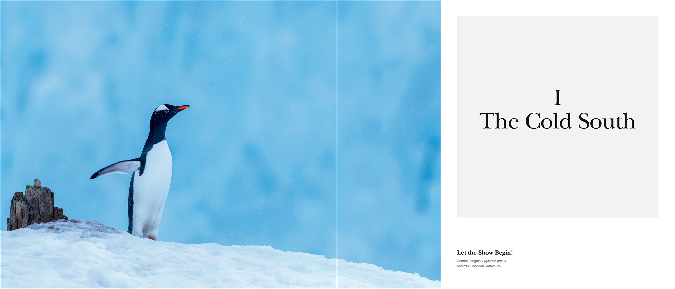 Portfolio 1 - Bilde 2