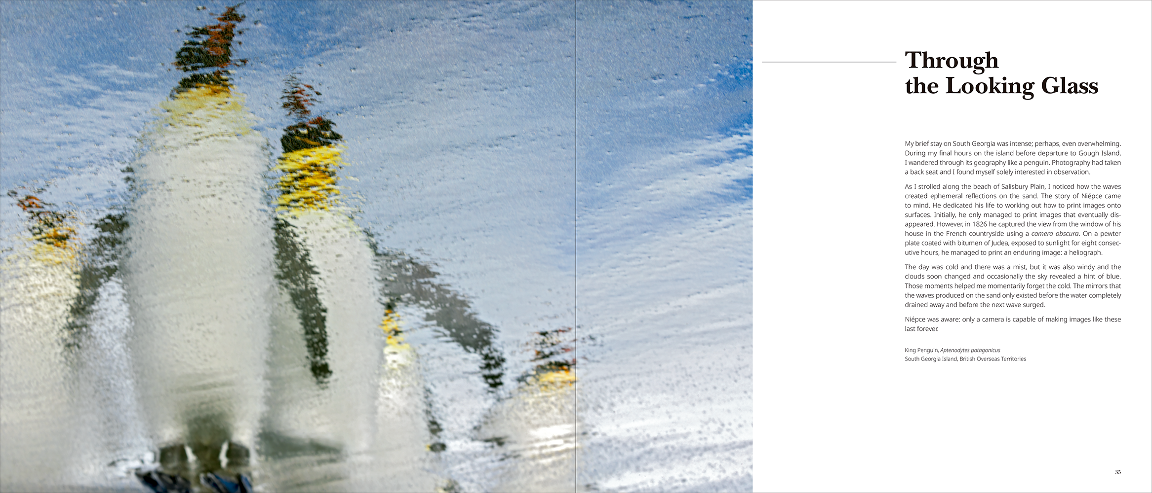 Portfolio 1 - Bilde 3