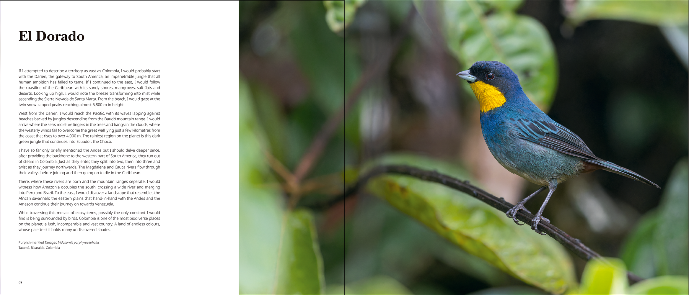 Portfolio 1 - Bilde 4