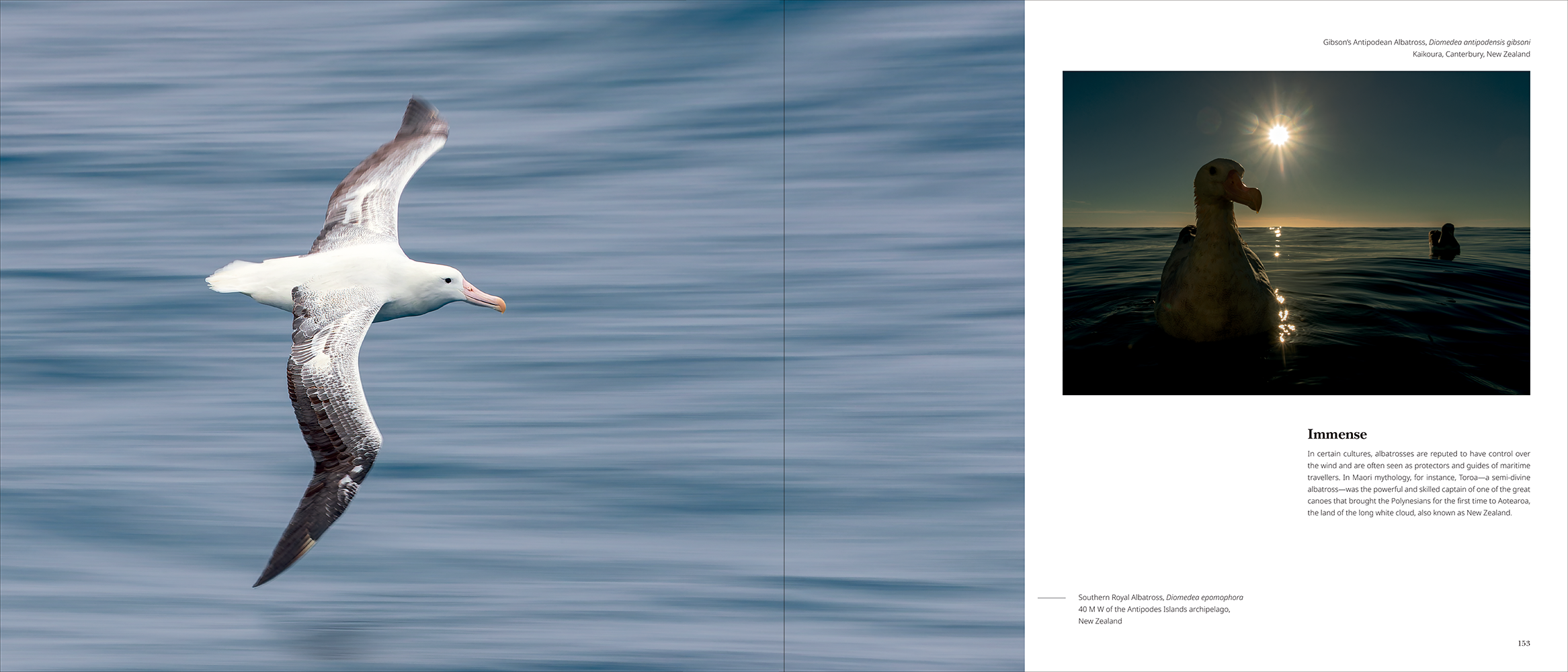 Portfolio 1 - Bilde 7