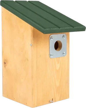 Predatorsikker meisekasse i tre - Seattle - 32mm hull
