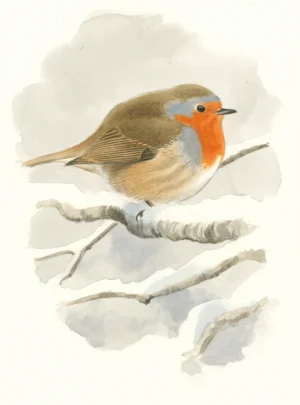 Rødstrupe - Original akvarell av Øivind Egeland